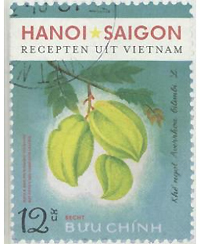 Hanoi Saigon